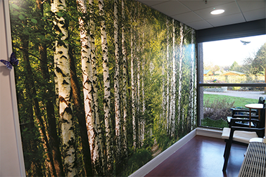 A themed corridor with a large scale photograph of woodland scene and butterflies 